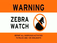 Warning: Zebra Watch