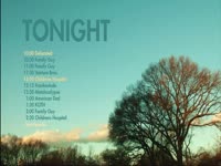 Tonight Sun Kissed Tree