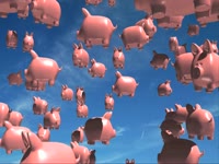 Success Flying Pigs thumbnail