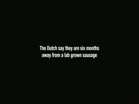 Lab Grown Dutch Sausage thumbnail
