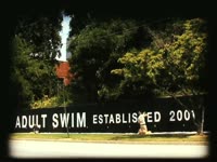 AS Timeline Mural thumbnail