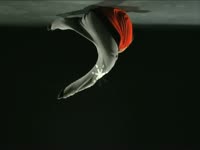 Upside Down Breakdancing thumbnail