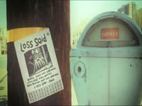 Loss Sqid Flyer on Post thumbnail