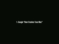 Deer Crashes Taco Mac Captions