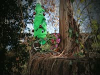 Omar Xmas Tree: Pop thumbnail