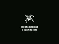 Wolf Spiders Can't Dance thumbnail