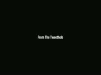 Tweethole Feb 19 2012 thumbnail