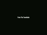 Tweethole March 4 2012 thumbnail