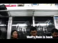 Wolf's Rain is Back thumbnail