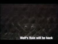 Wolf's Rain Will be Back thumbnail