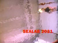 2001 Pool #16 thumbnail