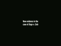 New Evidence in Dogs vs Cats