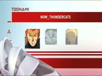 Toonami Now Thundercats 1