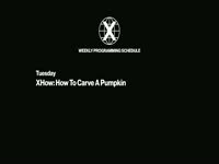 ThingX Weekly Schedule