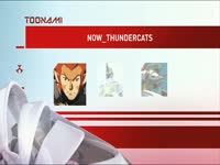 Toonami Now Thundercats 3