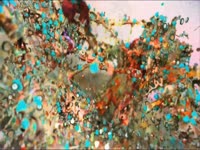 Digital Color Splashes 2