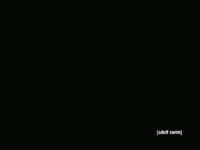 Home Movies-Family Guy Chart thumbnail