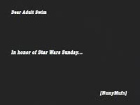 Star Wars dogs thumbnail