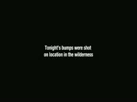 Infrared Bumps in Wilderness