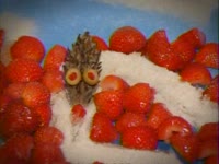 Coneworm thumbnail