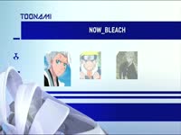 Toonami Now Bleach 10