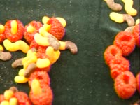 Worm Frolic thumbnail