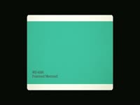 New WS Paint Swatches