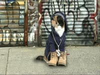 Meow Meow: Gangsta Cat thumbnail