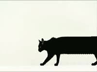 Meow Meow: Stretchy Cat thumbnail