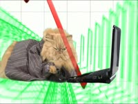 Meow Meow: Stocks Kitty thumbnail