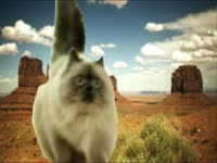 Meow Meow: Western Kitty thumbnail