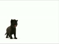 Meow Meow: Trippy Kitten thumbnail