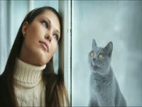 Meow Meow: Window Lick thumbnail