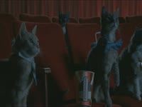 Meow Meow: Theater Kitties thumbnail