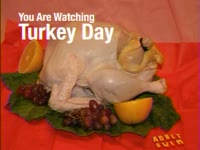 Turkey Birth v2 thumbnail