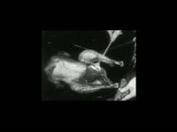 Worst of Adult Swim thumbnail