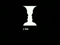 What Do You See Here?