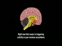 Brain Activity with Music thumbnail