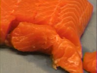 Sushi Assembly Conch thumbnail