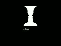 What do You See in This