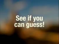 What Is It? 1 thumbnail