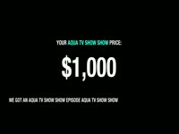 Aqua TV Show Show Bidding thumbnail
