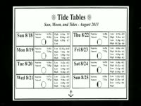 Week's Tides for Folly Beach, SC thumbnail