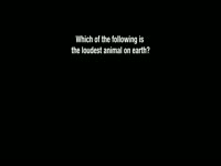 Loudest Animal on Earth