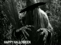 Happy Halloween 2013