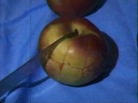 Apple Chopping thumbnail