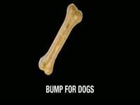 Bump for Dogs Images thumbnail