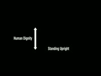 Human Dignity Scale Diagram