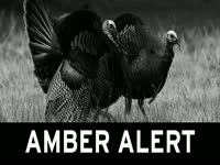Turkey Amber Alert thumbnail