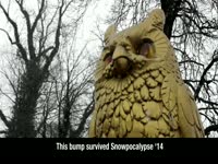 Snowpocalypse '14 Bump: Gold Owl thumbnail